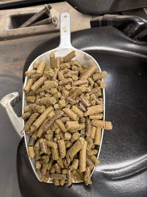 Hanfpresskuchen aktuell Bio Hanfkuchen Sticks für Pferde