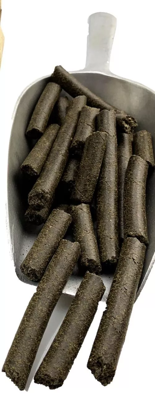 Hanfsticks Hanfkuchen Leckerli für Hunde und Pferde – Bio