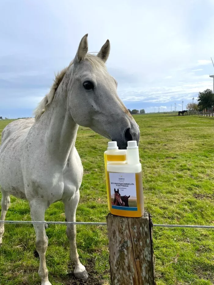 schwarzkuemmeloel-pferdefuttermittel Schwarzkümmelöl Pferd Dosierflasche