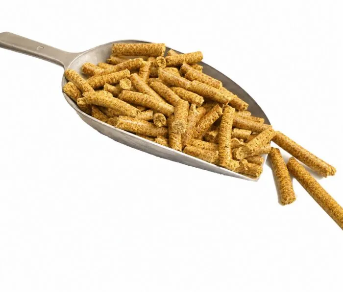 goldleinkuchen auf schaufel pferde Bio Goldleinkuchen – Sticks für Pferde