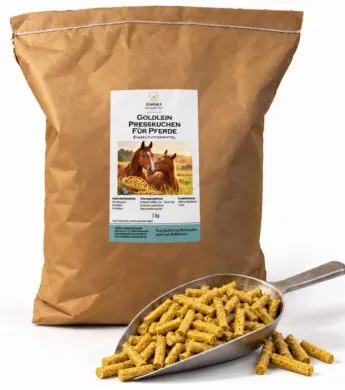 produktbild bio goldleinsticks presskuchen pferde